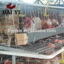 Baby Chick Brooder Cage / Egg Chicken House diseño para capas